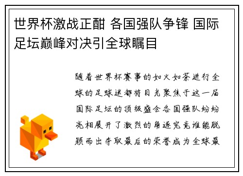 世界杯激战正酣 各国强队争锋 国际足坛巅峰对决引全球瞩目